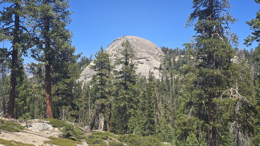 טאפט פוינט וסנטינל דום